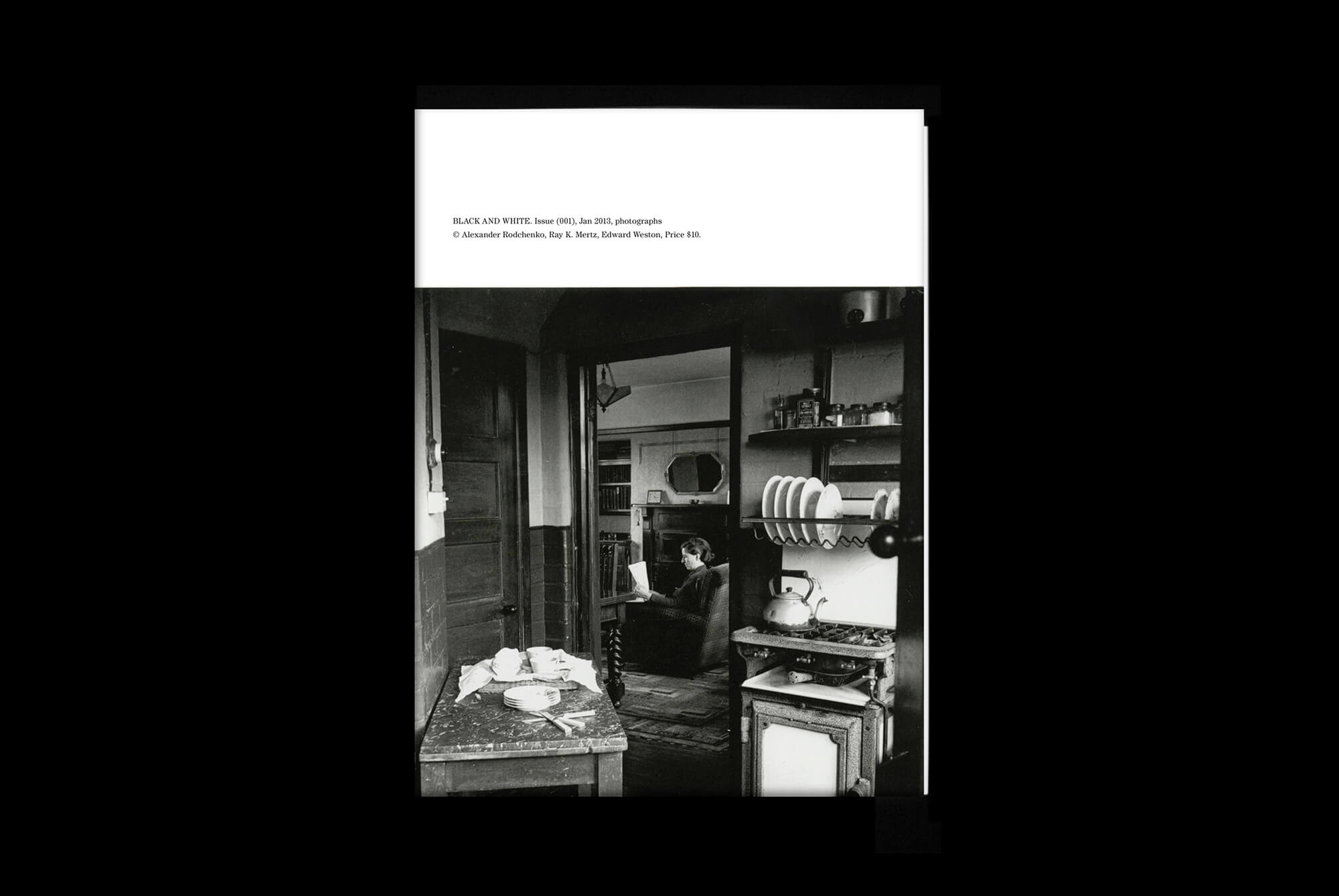 bw_brant_cover