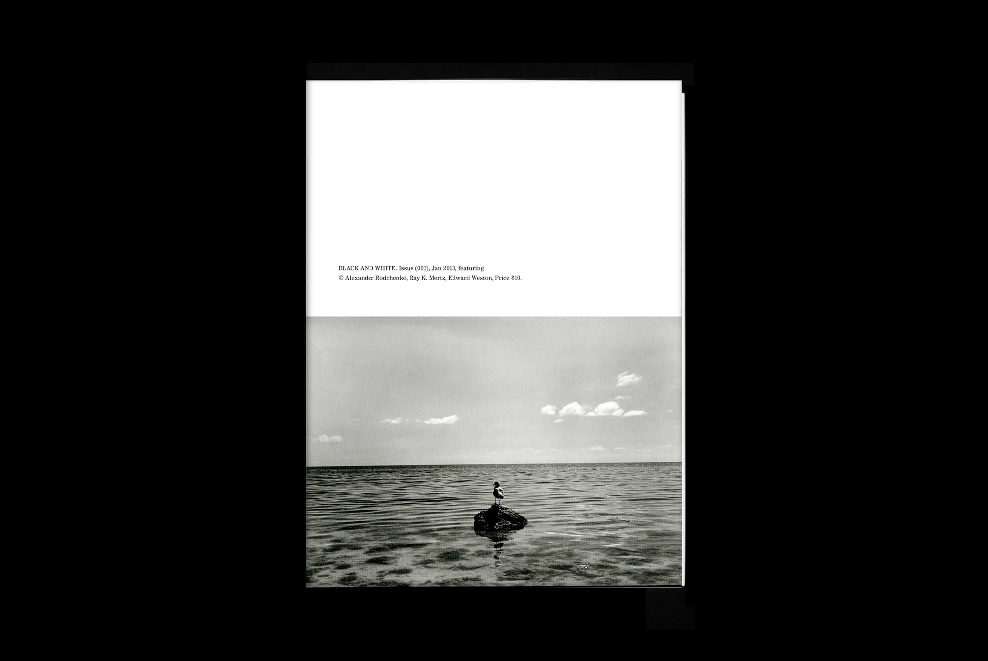 bw_erwin_cover
